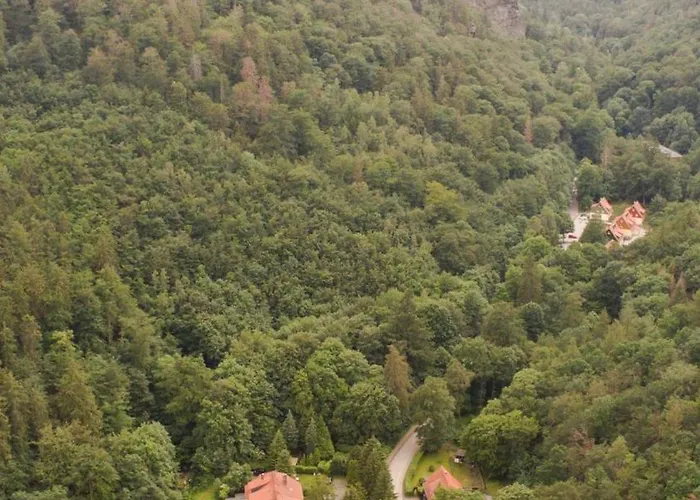 Сasa de vacaciones Ferienhaeuser Am Brocken, 60 Qm, 2 Schlafzimmer *